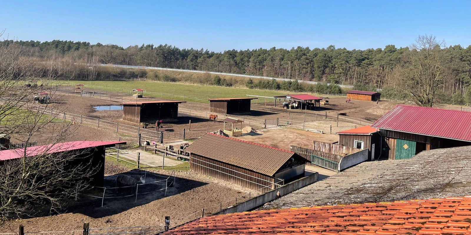 Bild der Stallgruppen